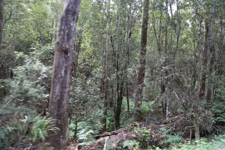 Fourth view of Homely land listing, 00 Dip Road, Mawbanna TAS 7321