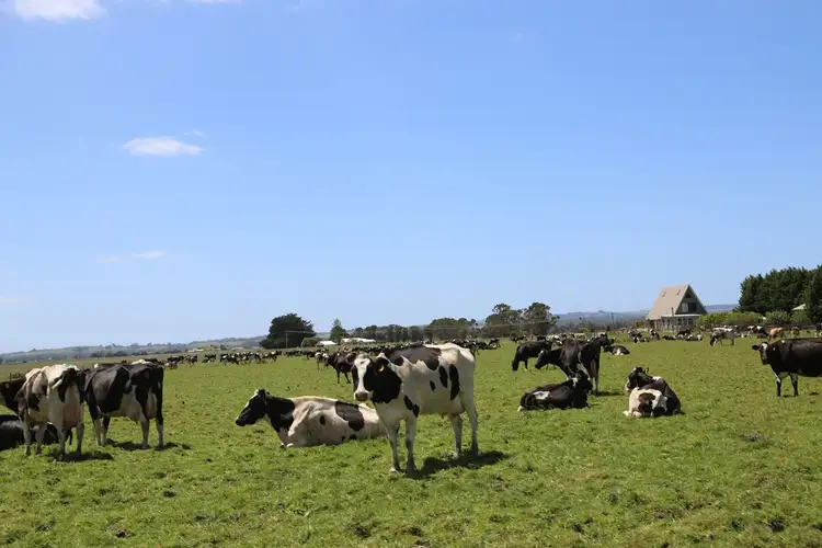 Third view of Homely rural property listing, 704 Mella Road, Mella TAS 7330