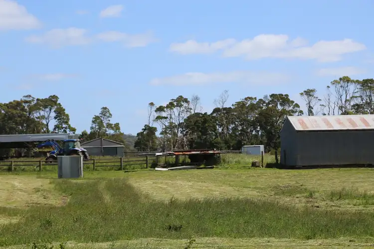 Seventh view of Homely rural property listing, 704 Mella Road, Mella TAS 7330