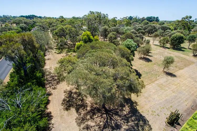Fifth view of Homely land listing, LOT 1/704 Sandon Avenue, Millicent SA 5280