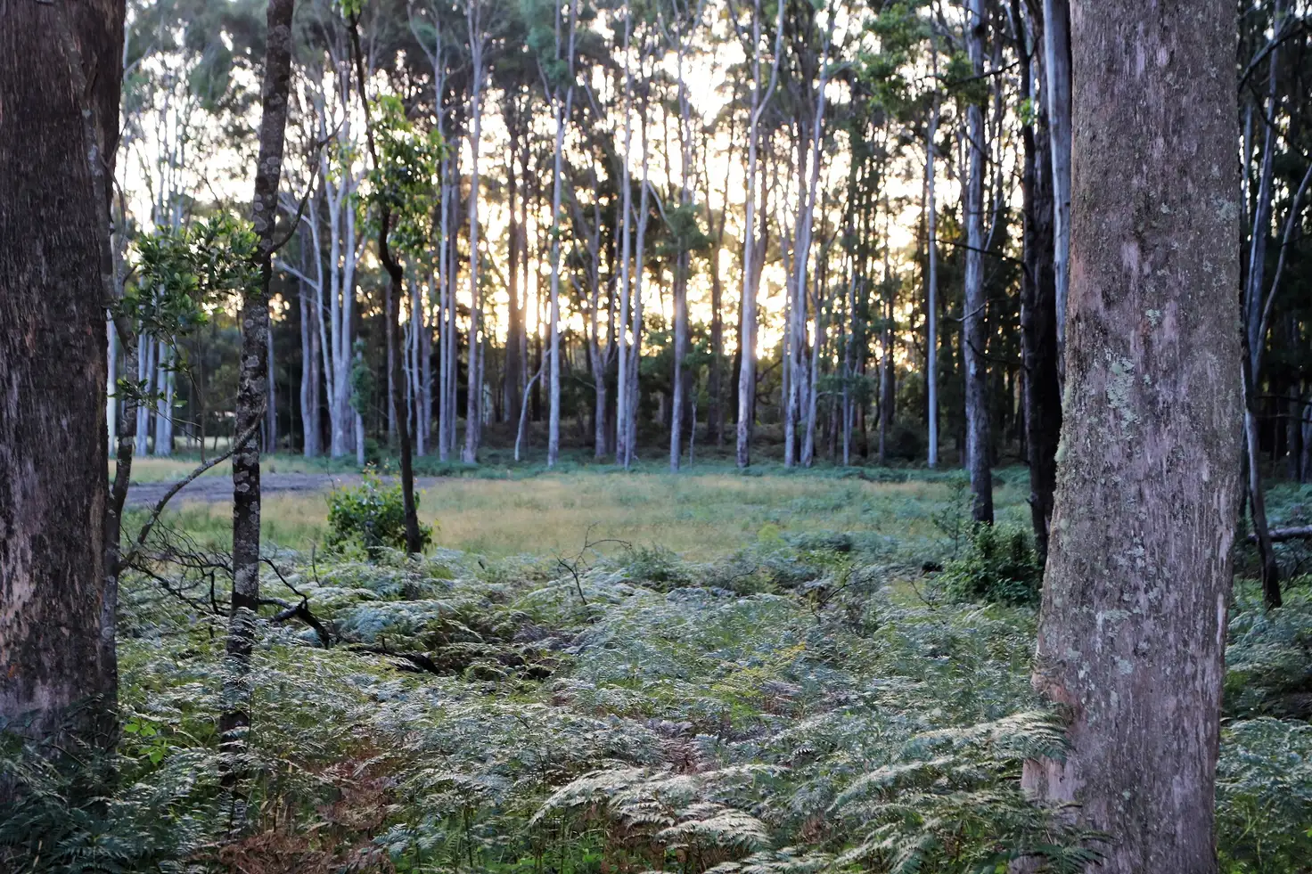 Main view of Homely land listing, LOT 2/20 Chamberlain Road, Trentham VIC 3458