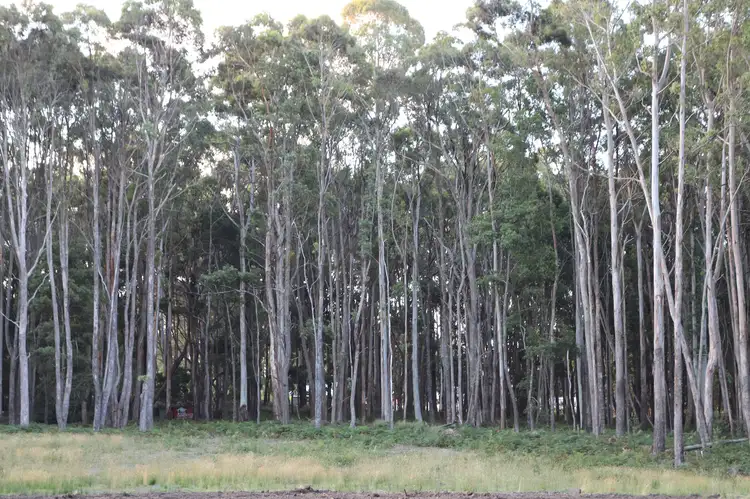 Fourth view of Homely land listing, LOT 2/20 Chamberlain Road, Trentham VIC 3458