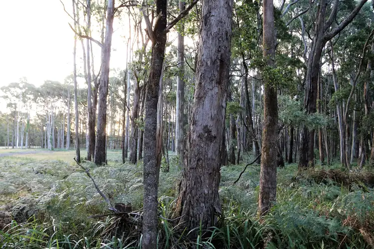 Sixth view of Homely land listing, LOT 2/20 Chamberlain Road, Trentham VIC 3458