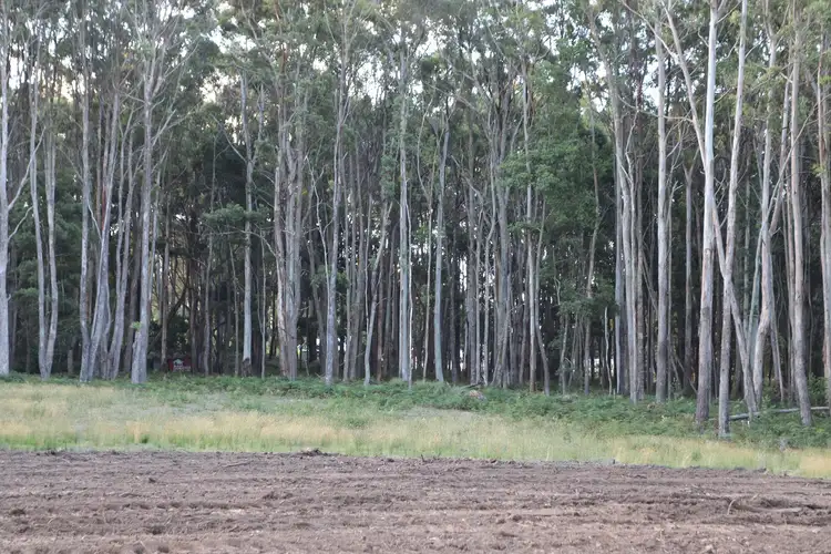 Seventh view of Homely land listing, LOT 2/20 Chamberlain Road, Trentham VIC 3458