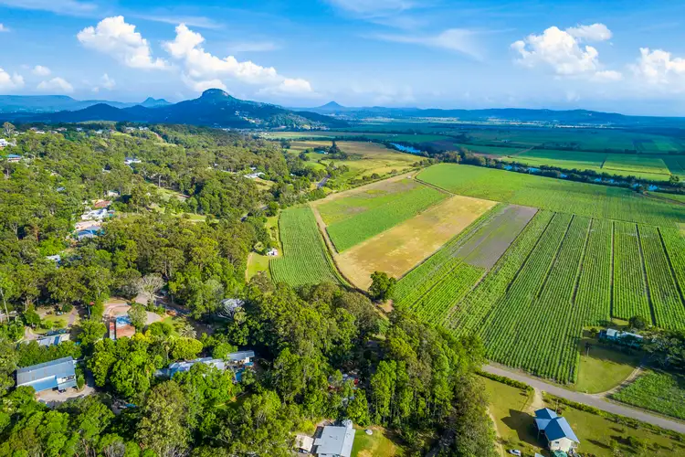 Main view of Homely rural property listing, 14 BURTONS ROAD, Maroochy River QLD 4561