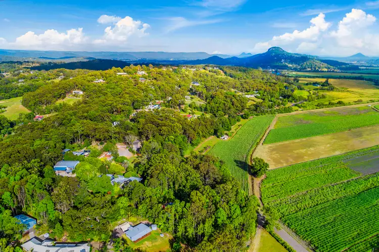 Second view of Homely rural property listing, 14 BURTONS ROAD, Maroochy River QLD 4561