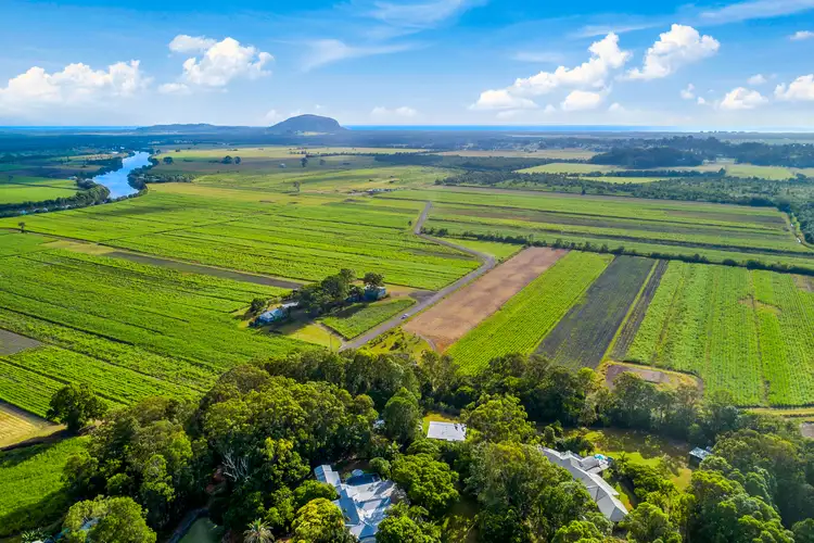 Seventh view of Homely rural property listing, 14 BURTONS ROAD, Maroochy River QLD 4561