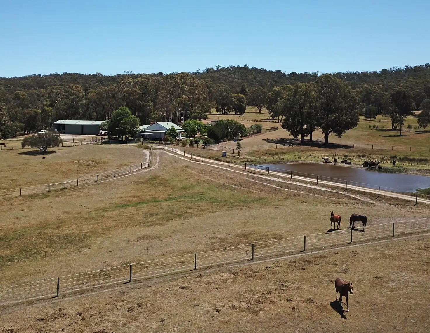 Main view of Homely rural property listing, 707 Jones Road, Beaufort VIC 3373