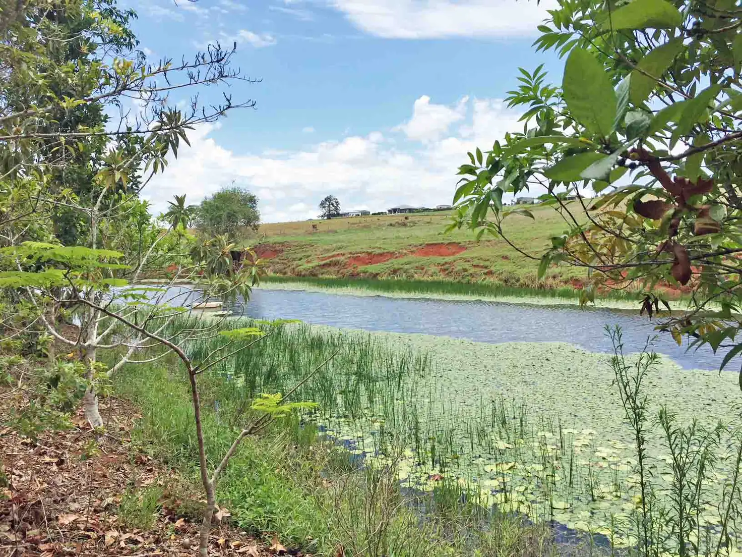 Main view of Homely land listing, Address available on request