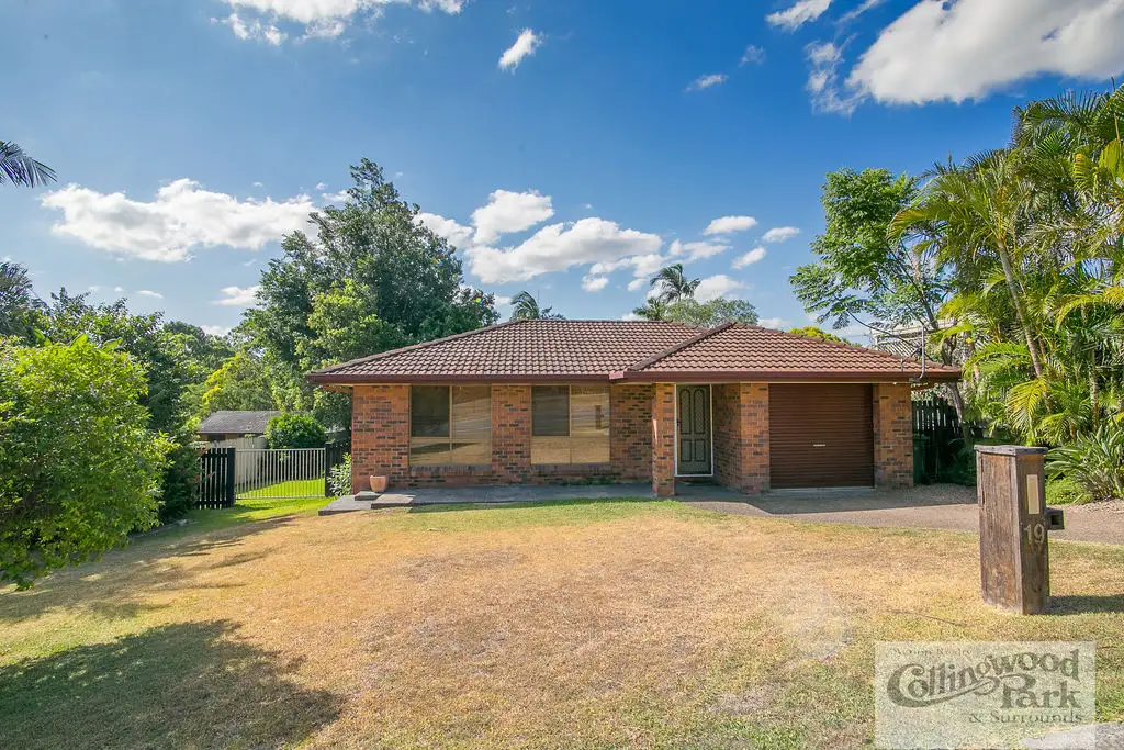 Main view of Homely house listing, 19 BURREL STREET, Collingwood Park QLD 4301
