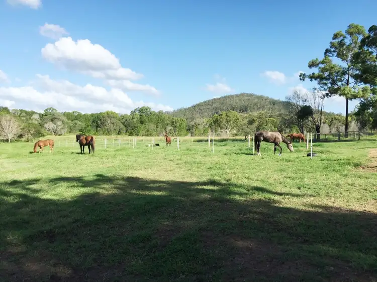 Third view of Homely rural property listing, 62 Bakers Road, Bauple QLD 4650