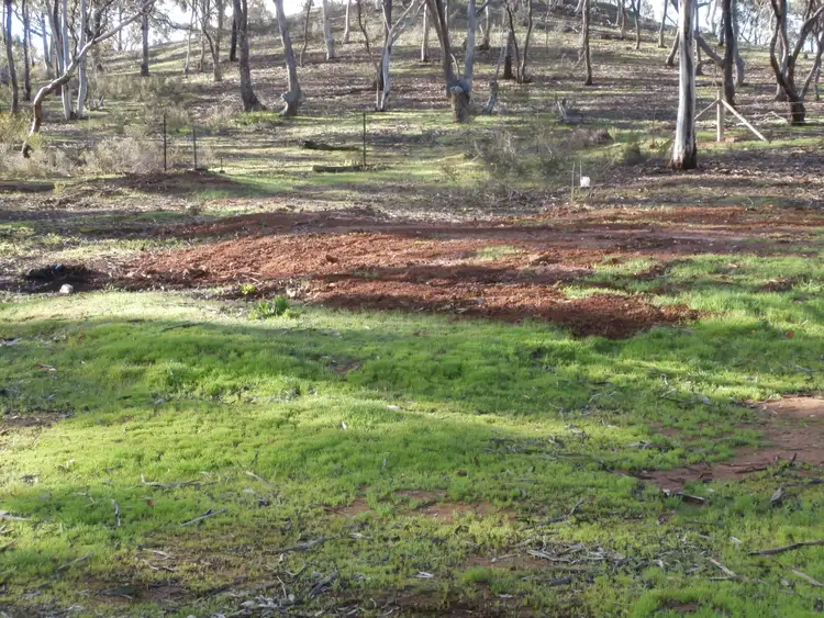 Second view of Homely land listing, LOT 8A Bobsiens Hill Road, Wedderburn VIC 3518
