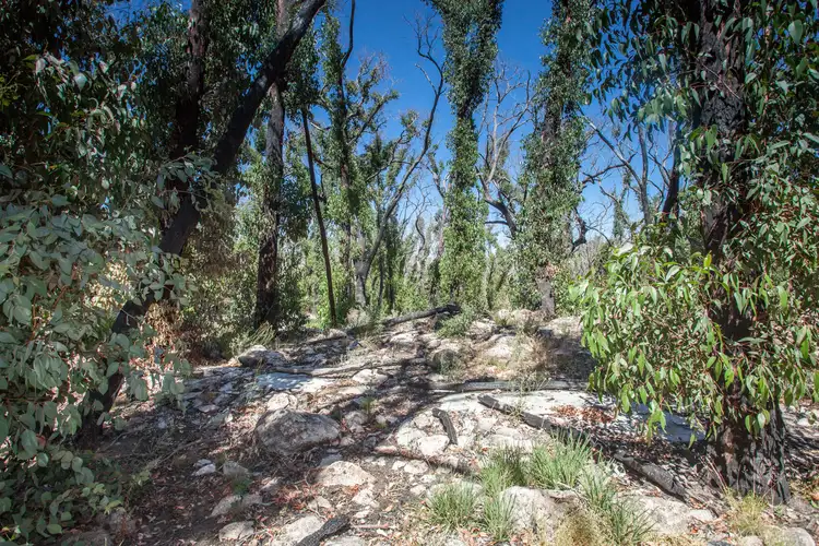 Sixth view of Homely rural property listing, 496 Youngs Road, Baynton VIC 3444