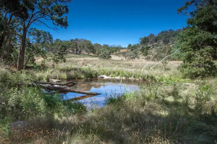 Seventh view of Homely rural property listing, 496 Youngs Road, Baynton VIC 3444