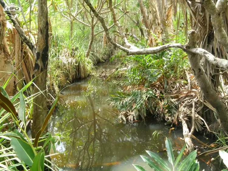 Fourth view of Homely land listing, Lot 2 / 4497 Kennedy Highway, Mareeba QLD 4880