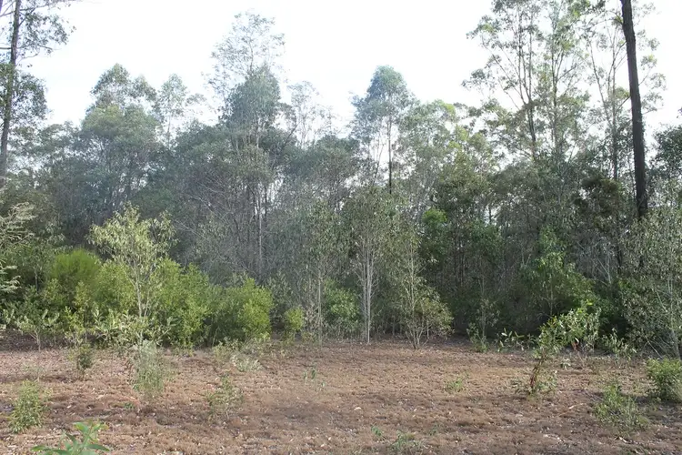 Fifth view of Homely rural property listing, LOT 11 Gibson Road, Benarkin QLD 4314
