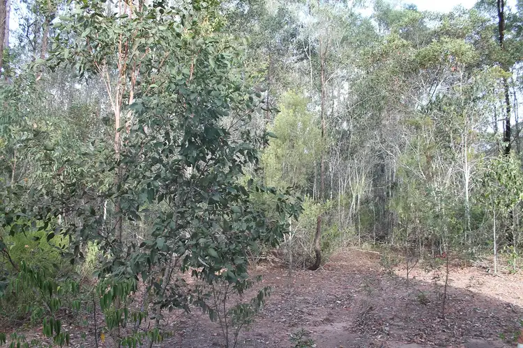 Seventh view of Homely rural property listing, LOT 11 Gibson Road, Benarkin QLD 4314