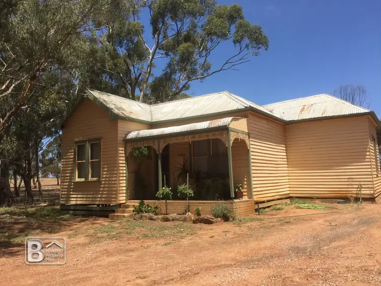 Main view of Homely rural property listing, 151 Richmond Plains Road, Wedderburn VIC 3518