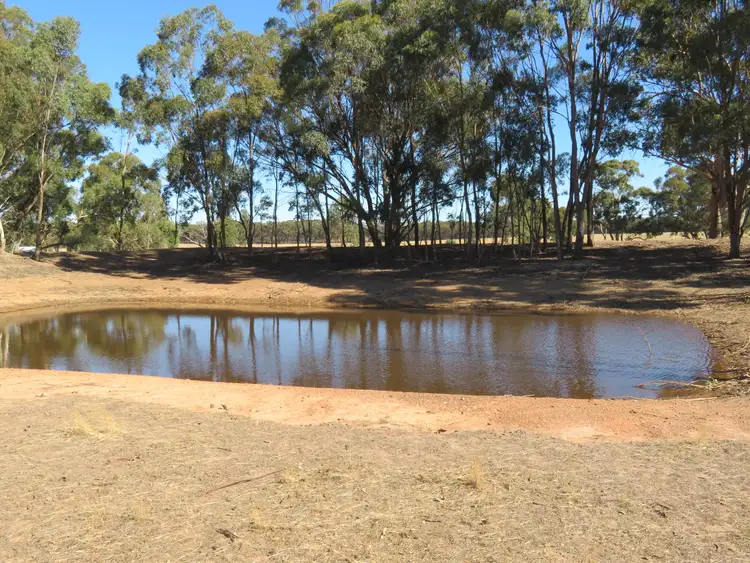 Fifth view of Homely rural property listing, 151 Richmond Plains Road, Wedderburn VIC 3518