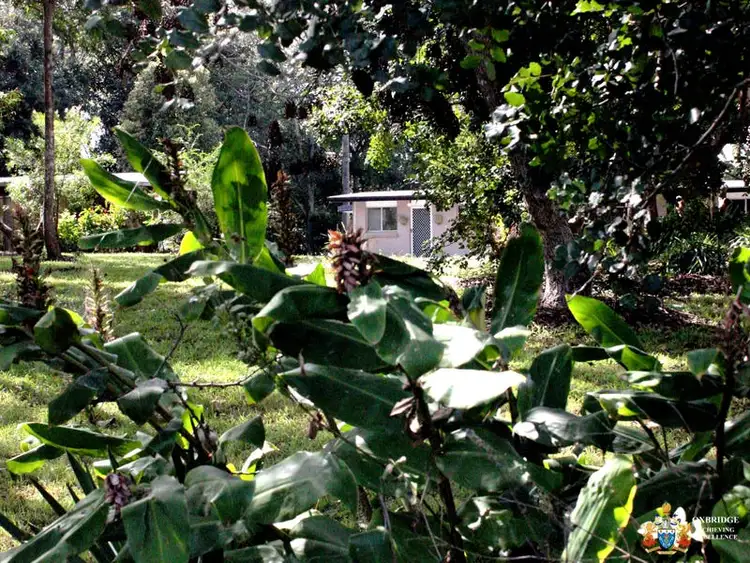 Third view of Homely house listing, 1/654 Main Western Road, Tamborine Mountain QLD 4272