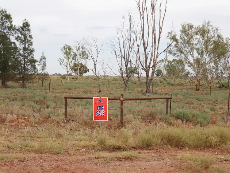 Main view of Homely land listing, LOT 161/323 Koonadan Rd.,, Leeton NSW 2705