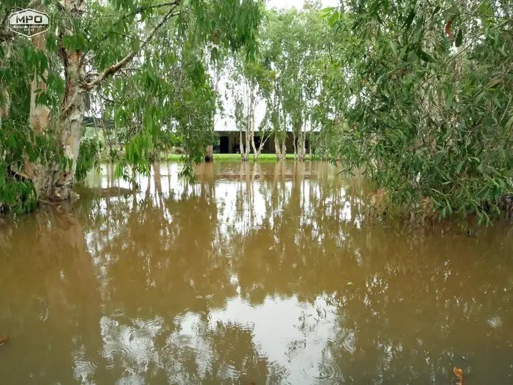 Sixth view of Homely rural property listing, 56 Cypress Road, Biboohra QLD 4880