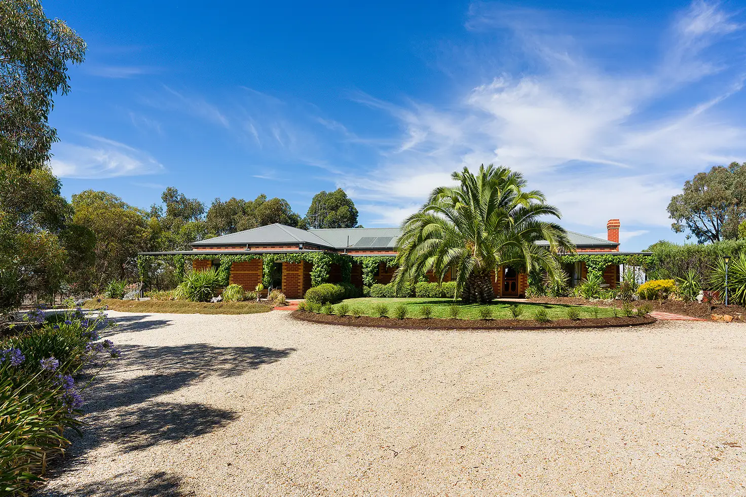 Main view of Homely rural property listing, 241 Seers Road, Welshmans Reef VIC 3462