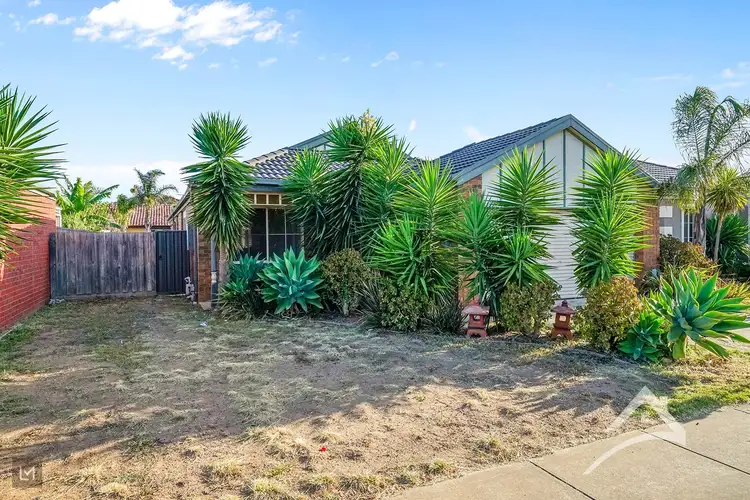 Fifth view of Homely house listing, 20 Laurel Avenue, Tarneit VIC 3029