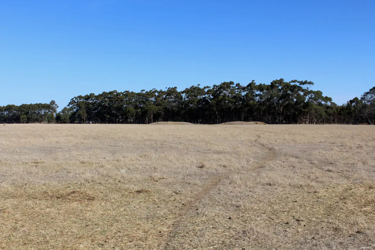 Main view of Homely rural property listing, 1-4 TP829327 & Lot 1 TP829329 Hamilton Highway, Lismore VIC 3324