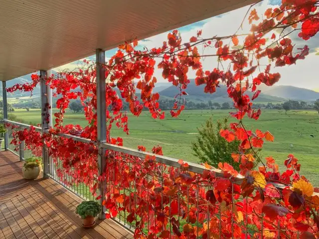 Fifth view of Homely rural property listing, 182 MULLAGONG ROAD, Upper Gundowring VIC 3691