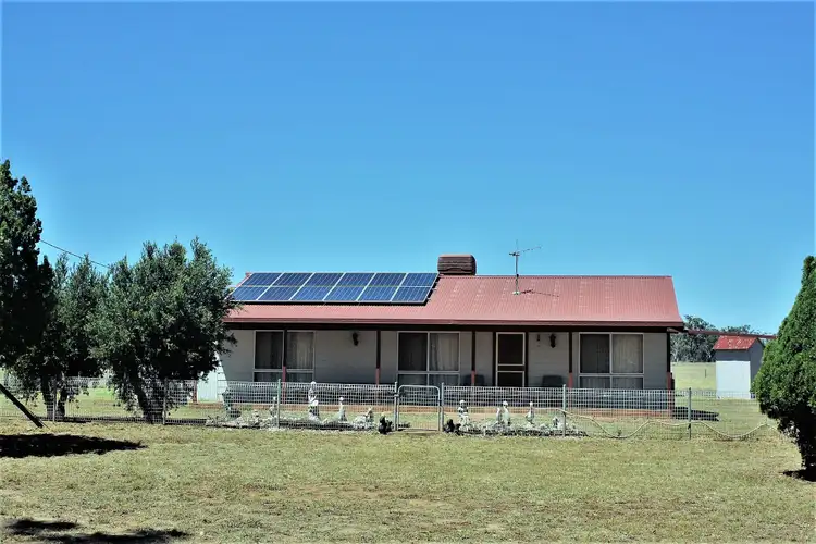 Sixth view of Homely rural property listing, 492 Sir Ivan Dougherty Drive, Dunedoo NSW 2844