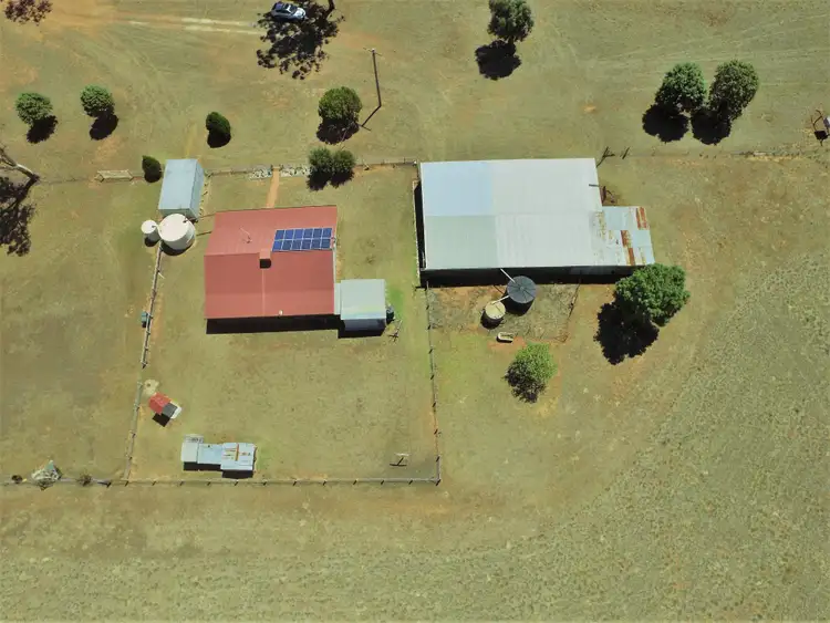 Seventh view of Homely rural property listing, 492 Sir Ivan Dougherty Drive, Dunedoo NSW 2844