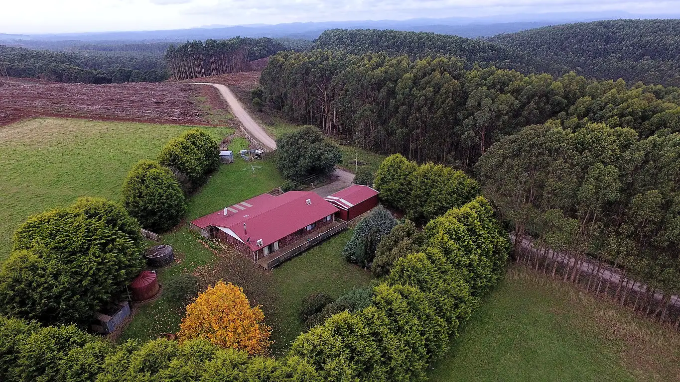 Main view of Homely house listing, 640 Tierneys Road, Alcomie TAS 7330