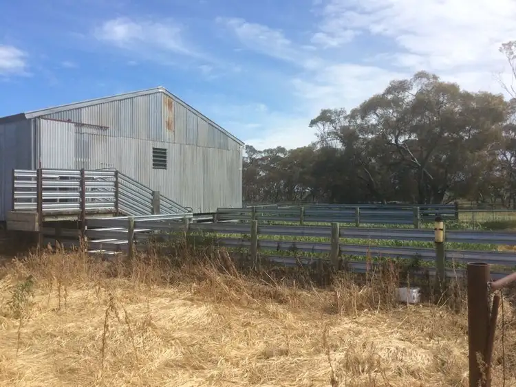 Fourth view of Homely rural property listing, 831 Yanac Netherby Road, Yanac VIC 3418
