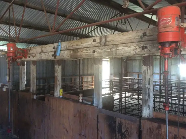 Fifth view of Homely rural property listing, 831 Yanac Netherby Road, Yanac VIC 3418