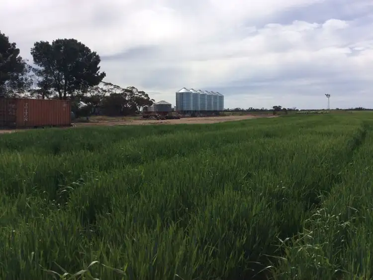 Seventh view of Homely rural property listing, 831 Yanac Netherby Road, Yanac VIC 3418