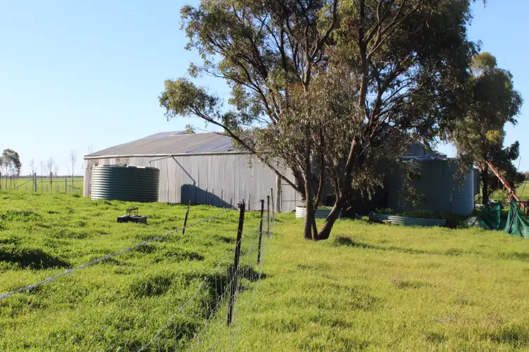 Fourth view of Homely rural property listing, 443 Tullyvea Bus Route Road, Jeparit VIC 3423