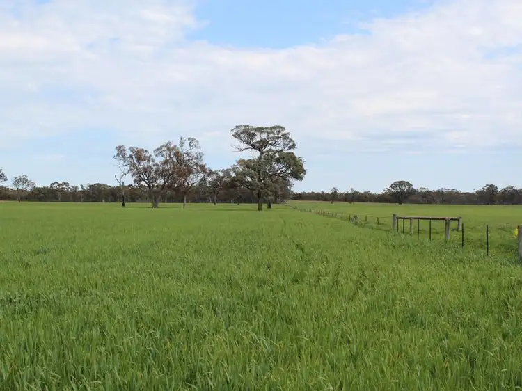 Main view of Homely rural property listing, Ampts Back Road, Gymbowen VIC 3401