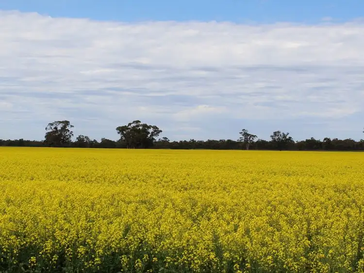 Third view of Homely rural property listing, Ampts Back Road, Gymbowen VIC 3401