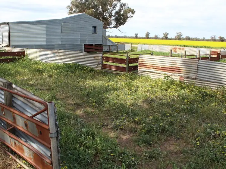Fourth view of Homely rural property listing, Ampts Back Road, Gymbowen VIC 3401