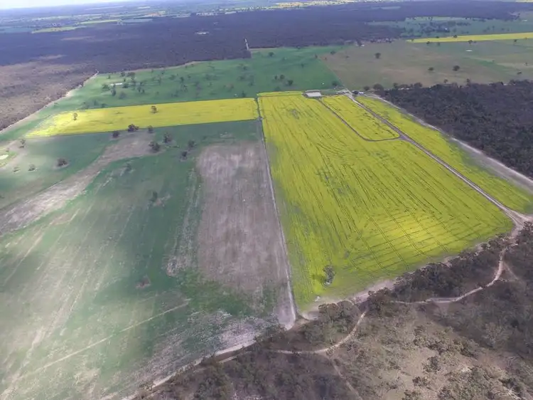 Fifth view of Homely rural property listing, Ampts Back Road, Gymbowen VIC 3401