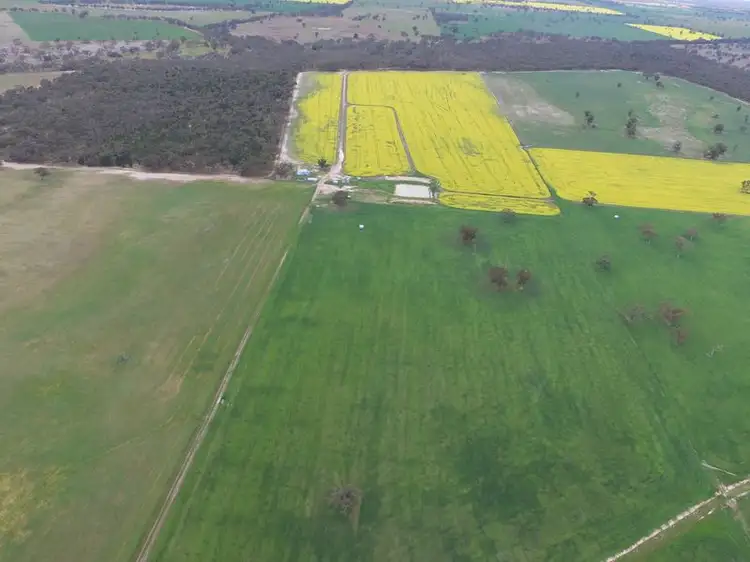 Sixth view of Homely rural property listing, Ampts Back Road, Gymbowen VIC 3401