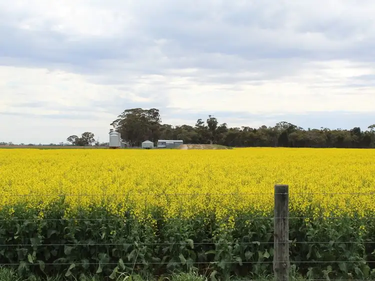 Seventh view of Homely rural property listing, Ampts Back Road, Gymbowen VIC 3401