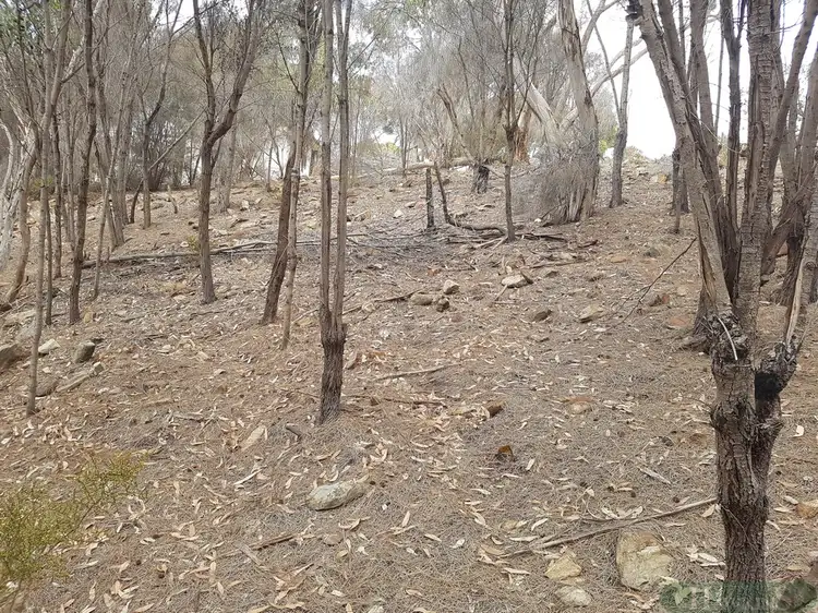 Fourth view of Homely land listing, LOT 13 Falie Court, American River SA 5221