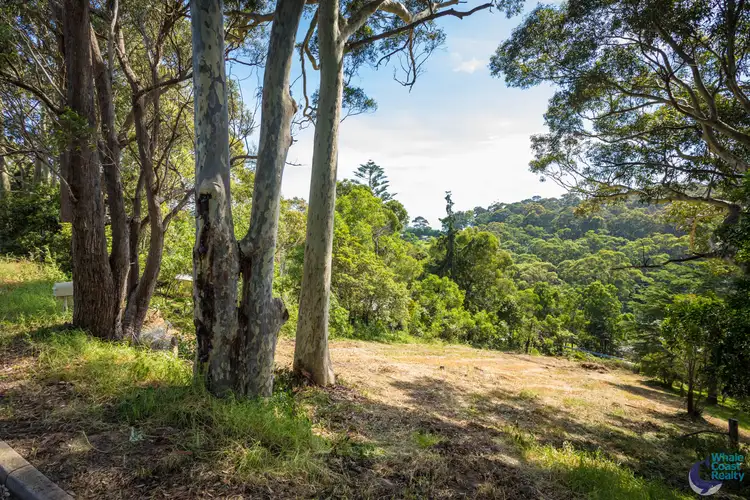 Fifth view of Homely land listing, 21 Princes Highway, North Narooma NSW 2546