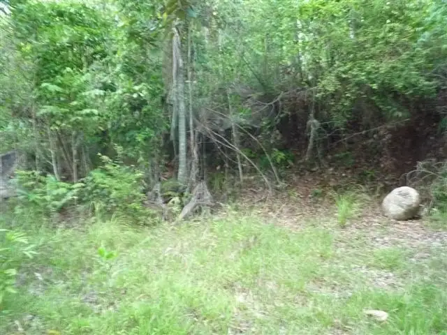 Fifth view of Homely land listing, LOT 20/15 Maple Terrace, Tully QLD 4854