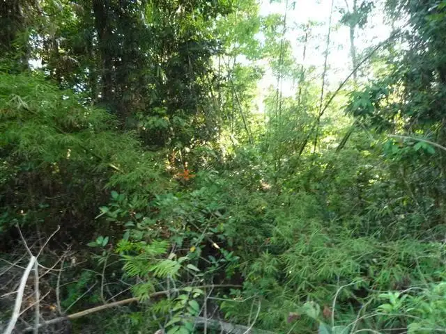 Sixth view of Homely land listing, LOT 20/15 Maple Terrace, Tully QLD 4854