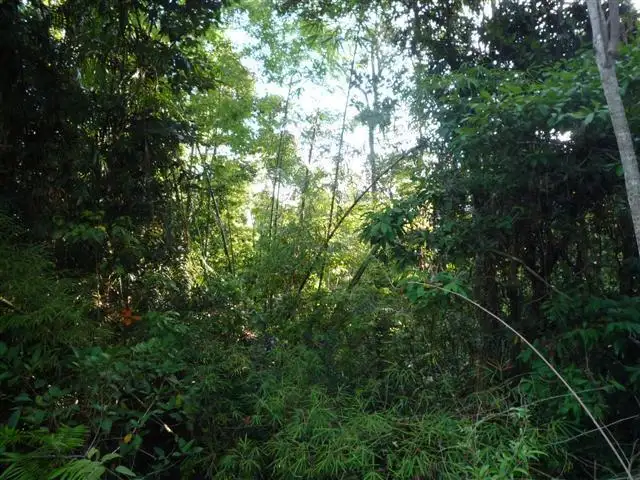 Seventh view of Homely land listing, LOT 20/15 Maple Terrace, Tully QLD 4854