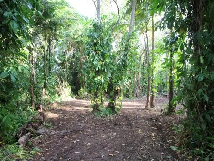 Fourth view of Homely land listing, LOT 4/1246 Tully Mission Beach Road, Carmoo QLD 4852