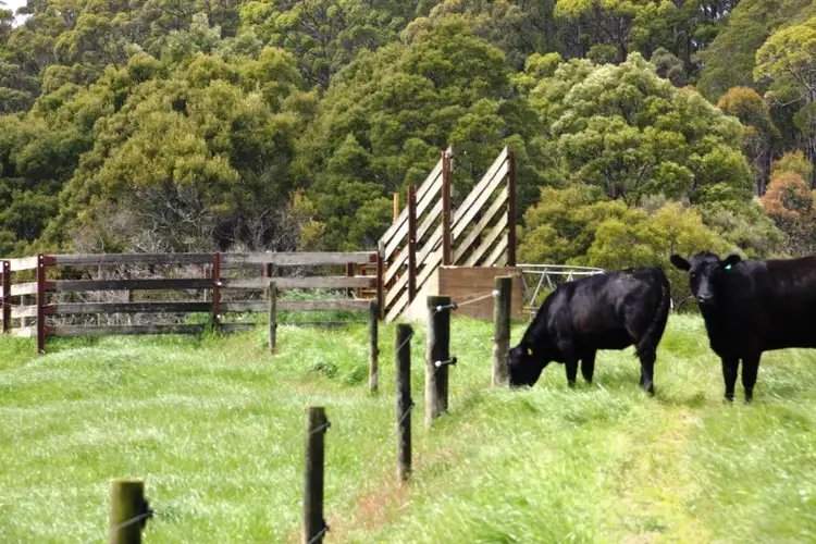 Third view of Homely rural property listing, Lot 4 Tierneys Road, Mengha TAS 7330